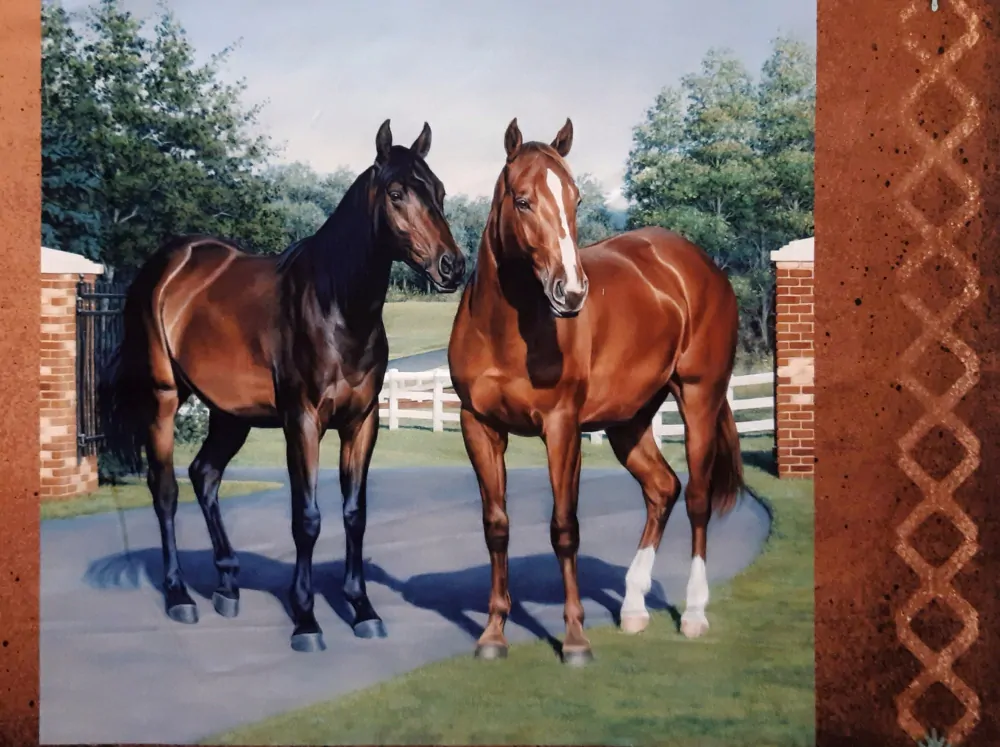 Bavlněná metráž 4622