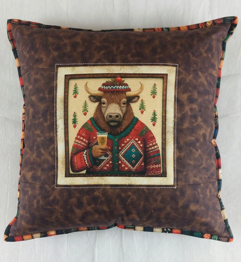 povlak na polštářek 16